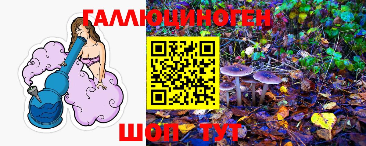 Саранск  Псилоцибиновые грибы ЛСД  Вход с VPN 